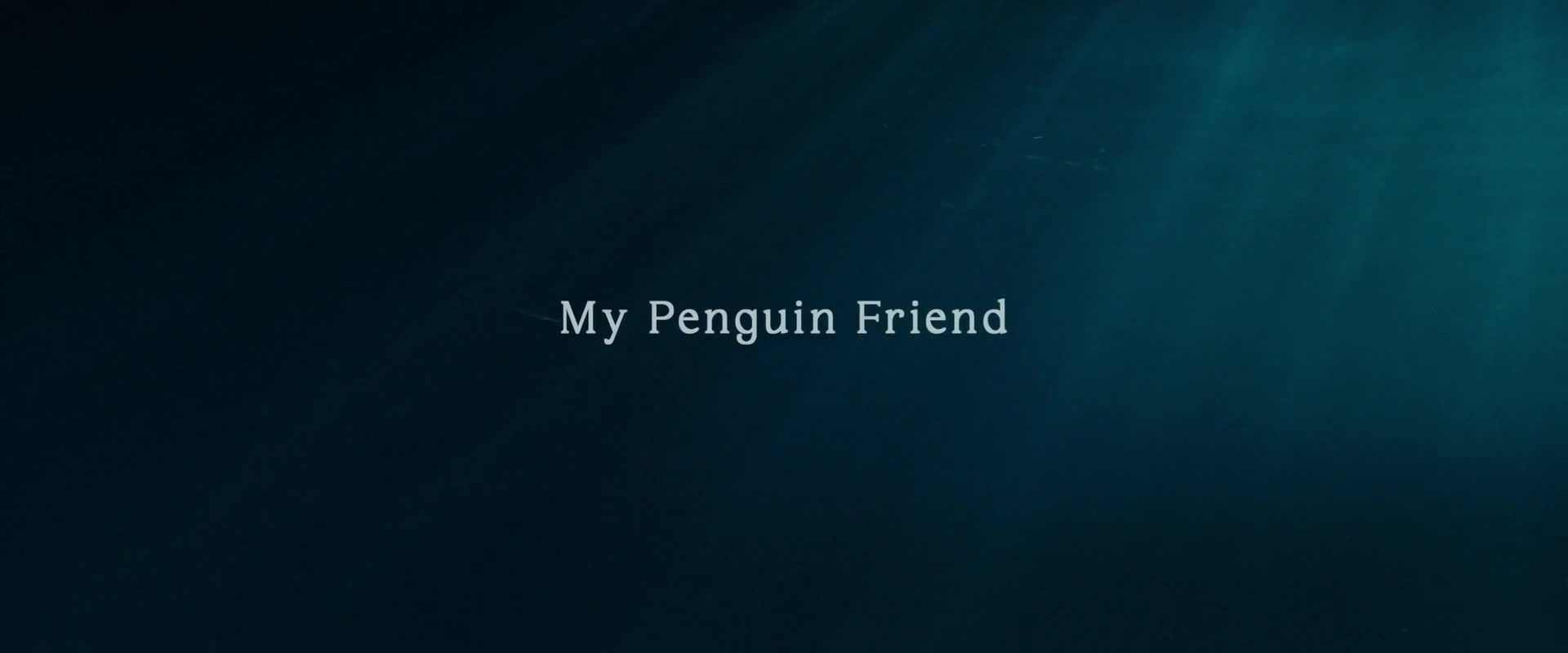 Můj kamarád tučňák   My Penguin Friend 2024 1080p WEBRip x264 AAC5 1 CZ titulky mp4