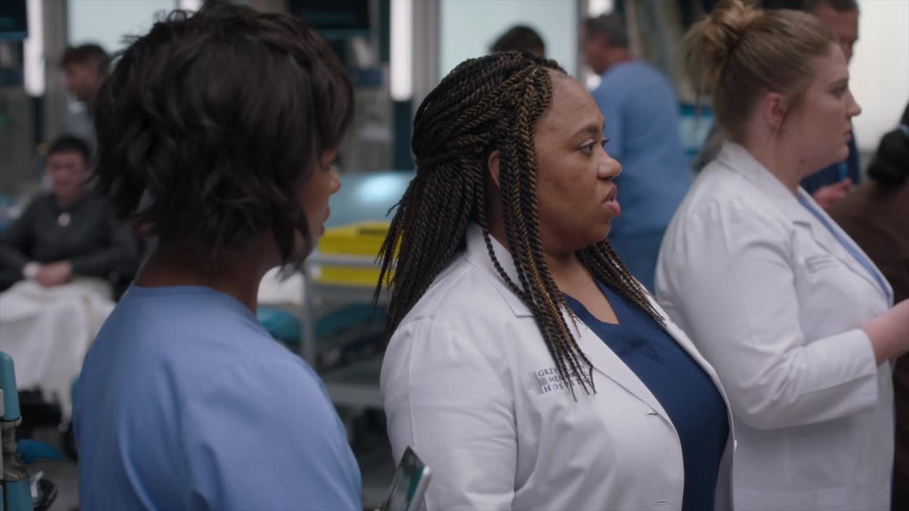 Chirurgove   Greys Anatomy S20E10 Burn It Down 720P Amzn Web Dl Ddp5 1 H 264 Flux CZ titulky mkv