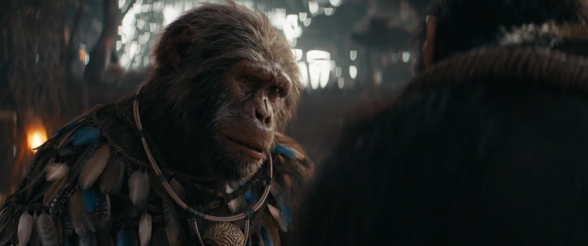 Království Planeta opic   Kingdom Of The Planet Of The Apes 2024 thriller akcni 1080p WEBRip x264 AAC5 1 CZ titulky mp4